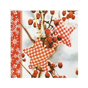 Салфетки [Bulgaree Green] [33*33] [20л] [3-х сл.] [Рождество] [1004379] [НГ] [/15]*